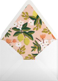 Citrus Orchard Suite (Stationery) - Rifle Paper Co. Envelope