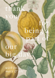 Citron - Thank You Card by John Derian