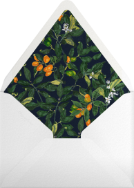 Fortunella - Oscar de la Renta Envelope