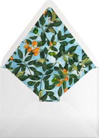 Fortunella - Oscar de la Renta Envelope