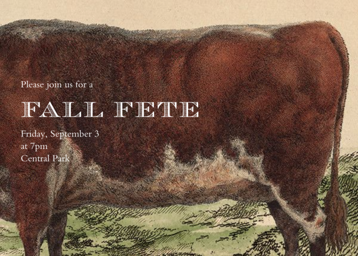 Steer by John Derian