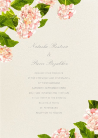 Lacecap by Felix Doolittle