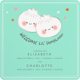 Double the Dumplings - Birth Announcement by Hello!Lucky