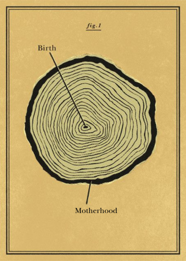 Cross Section - Congratulations Card by Paperless Post