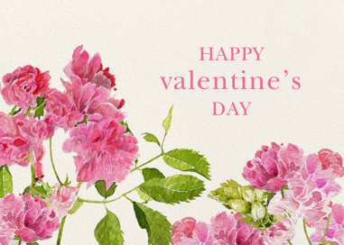 Pink Peonies - Valentine's Day Card by Felix Doolittle