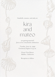 Strung Shells by Emily Baird