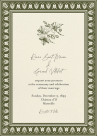 Orchid Stems by Emily Baird