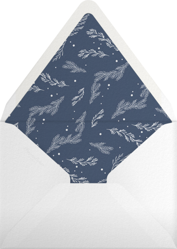 Back Bay Holiday - Paperless Post Envelope