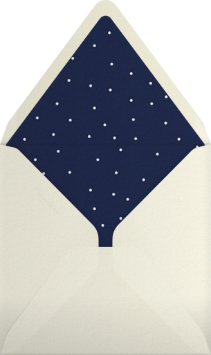 Tipsy Penguin - Paperless Post Envelope