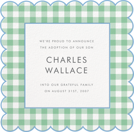 Gingham Shower Photo - Adoption Announcement by Meri Meri - Back