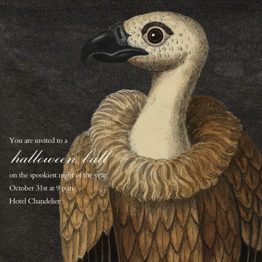 Vulture by John Derian