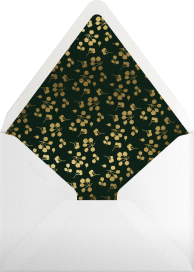 Holly Branch (Photo) - Paperless Post Envelope