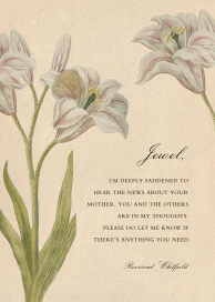 White Alstroemerias - Greeting Card by John Derian