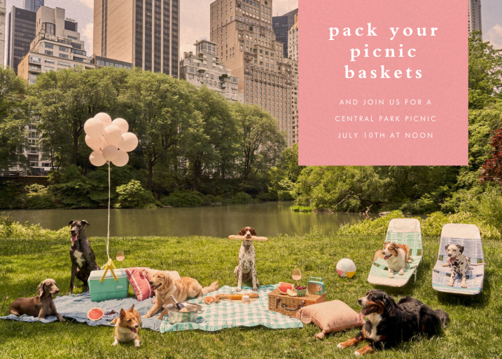 Puppy Picnic - Invitation by Gray Malin