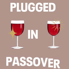PLUGGED 
IN

PASSOVER