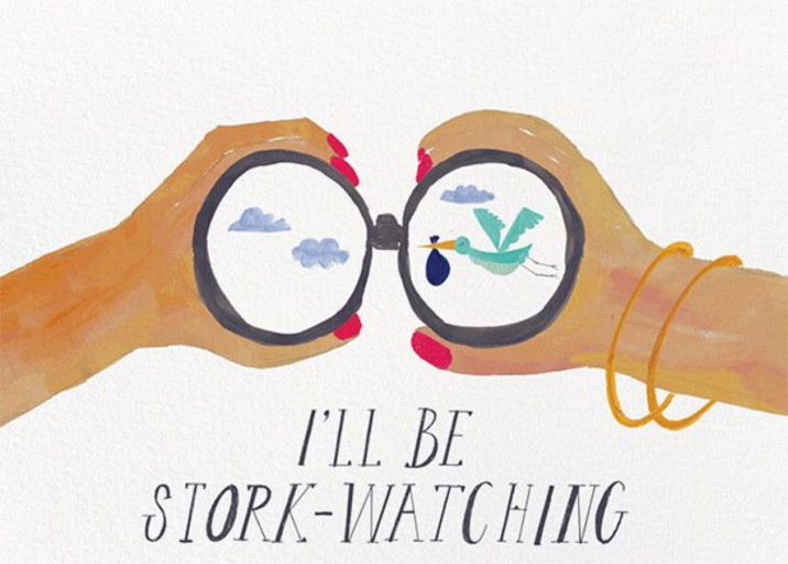 Stork Watch - Congratulations Card by Mr. Boddington's Studio