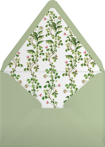 Lily Vines - Stephanie Fishwick Envelope