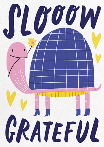 Turtle Love by Hello!Lucky