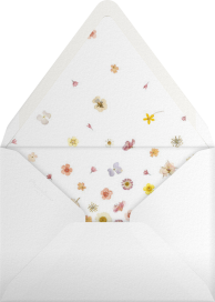 Vincennes - Paperless Post Envelope