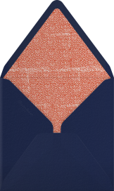 Watch My Swan Dive - Mr. Boddington's Studio Envelope