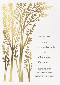 Louisa II (Save The Date) - Save the Date by Paperless Post