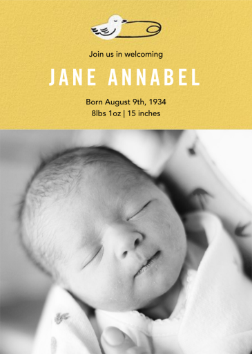 Duck Pin Photo by Paper Source