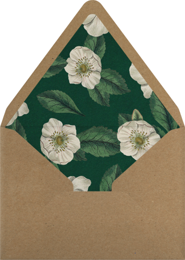 Campanulata - John Derian Envelope