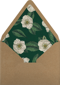 Campanulata - John Derian Envelope