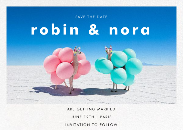 Llama Llama - Save the Date by Gray Malin