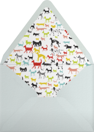 Calling all Dogs - Mr. Boddington's Studio Envelope