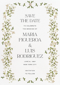 Creeping Magnolia by Stephanie Fishwick