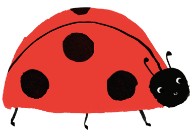 Ladybug Bash by Meri Meri