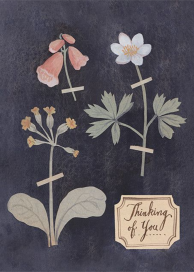 Pressed Flowers (Kelsey Garrity Riley) - Greeting Card by Red Cap Cards