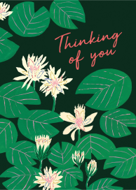 Lily Pads (Emily Isabella) - Greeting Card by Red Cap Cards