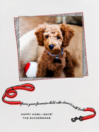 Holiday Dog - Christmas Card by paperless_post