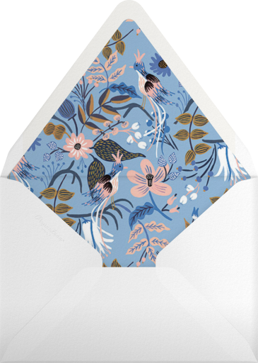 Baby's breath flowers Card Envelope