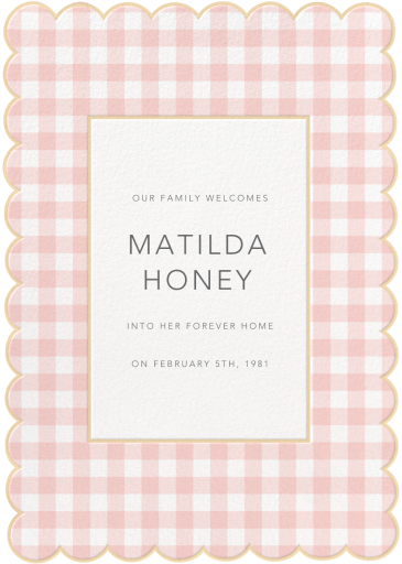 Gingham Shower - Adoption Announcement by Meri Meri