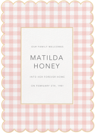 Gingham Shower - Adoption Announcement by Meri Meri