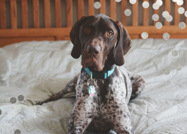 Confetti Photo - Stationery by kate spade new york