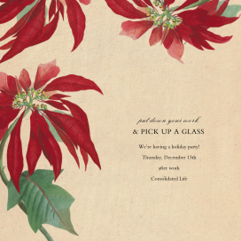 Euphorbia by John Derian