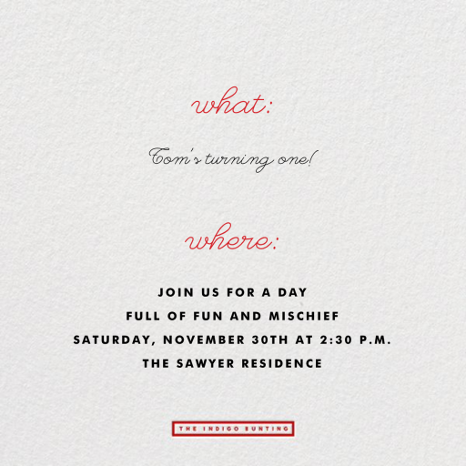 Birthday Faces - First Birthday Invitation by The Indigo Bunting - Back