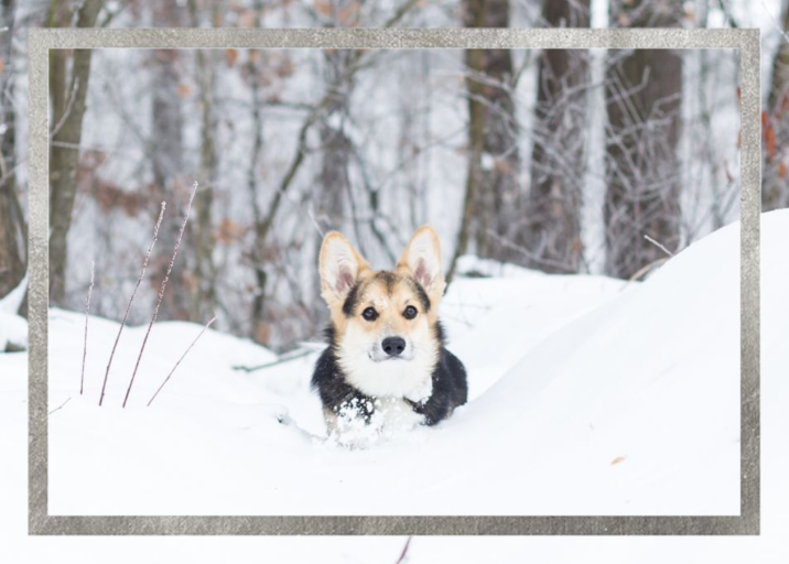 Editorial II Photo - Stationery by Paperless Post