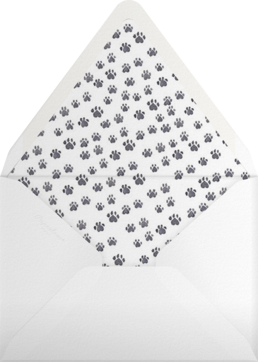 Cool Cats (Stationery) - Paperless Post Envelope