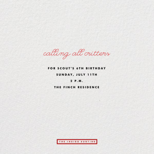 Birthday Faces by The Indigo Bunting - Back