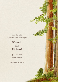 Sequoia by Felix Doolittle