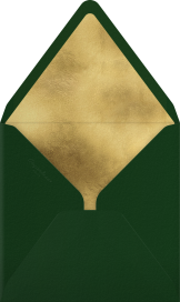 Spruce Pattern - Paperless Post Envelope