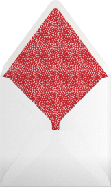 This Train's Going Local - Mr. Boddington's Studio Envelope