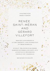 Splatter Cloth II by Paperless Post