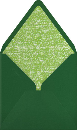 San Diego in the 70s - Mr. Boddington's Studio Envelope