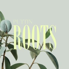 roots PUTTING DOWN